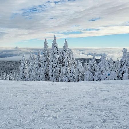 Chata Jeleni Drevenice S Vlastni Virivkou Horni Halze المظهر الخارجي الصورة