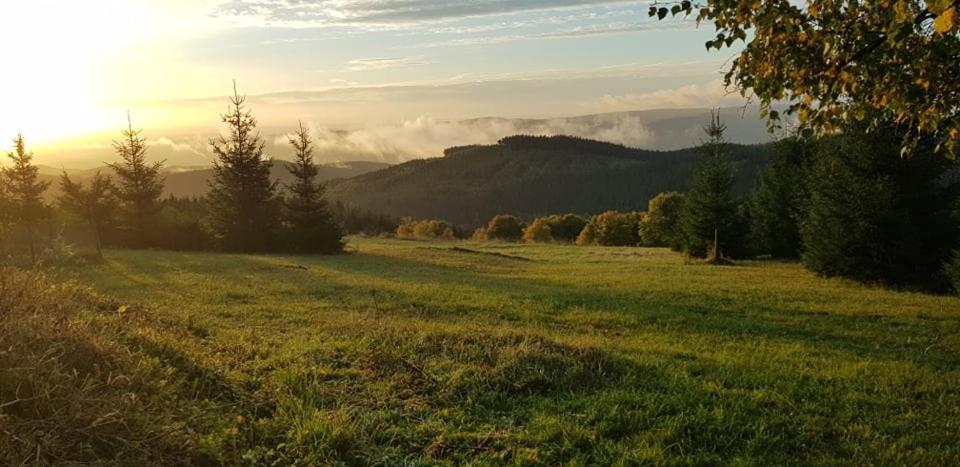 Chata Jeleni Drevenice S Vlastni Virivkou Horni Halze المظهر الخارجي الصورة